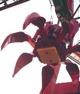RadComm Cricket Grapple